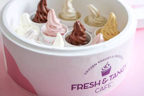 Frozen Yogurt & Ice Cream Box