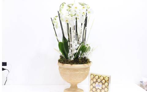 White Plants Grand Vase