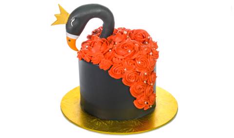 Black Swan Cake