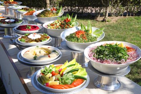 Lebanese Armenian Buffet for 10 Persons