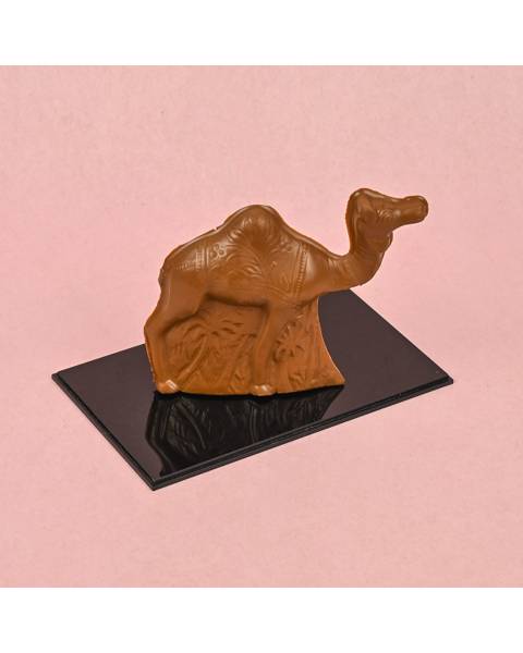 Camel Chocolate