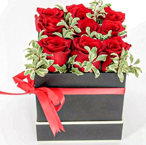 Red Roses Green Touch
