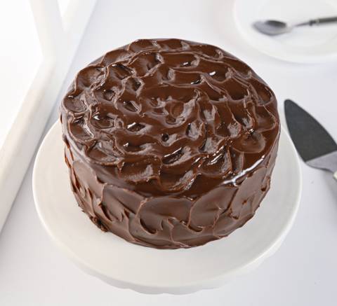 Double Chocolate Cake