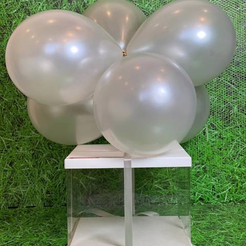 Special Transparent Box with 6 Balloons
