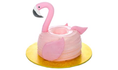 Flamingo Floaty Cake