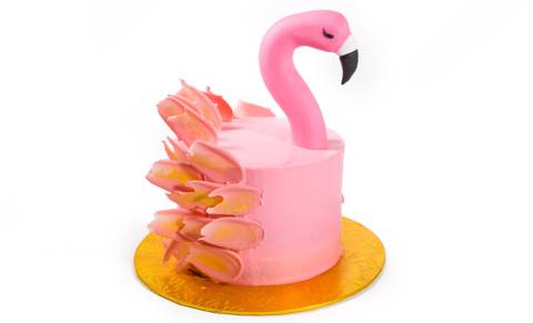 Flamingo Pool Cake