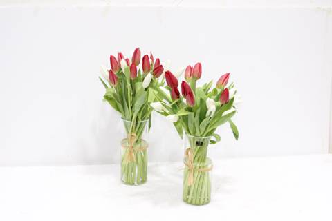 Mix Twin Tulip Vases