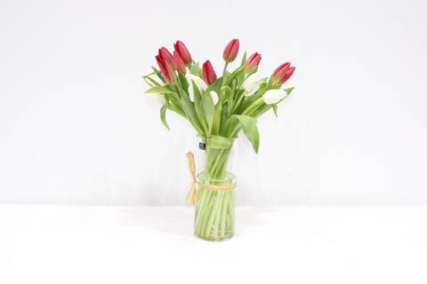 White & Red Tulip Vase