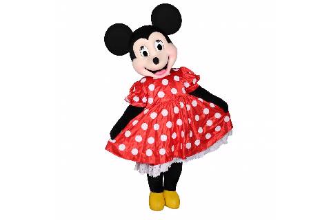 Minnie Mouse Decor &  Entertainment