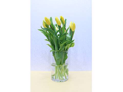 Yellow Tulip Vase