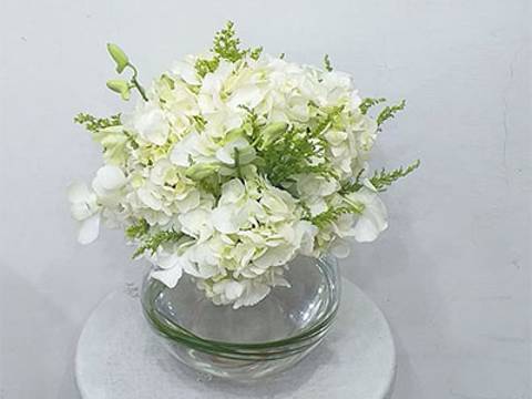 Beauty Hydrangea Vase