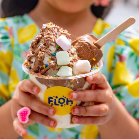 Floh Ice Cream Station